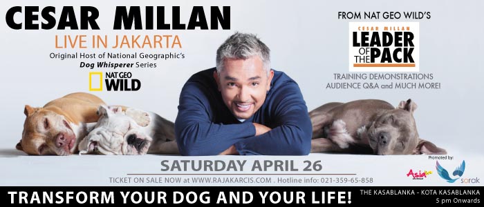 Workshop Cesar Millan Live in Jakarta