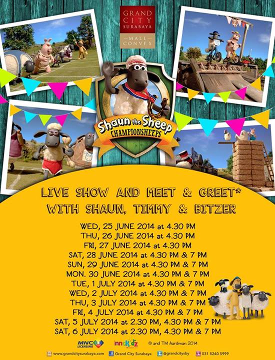 Shaun The Sheep The Championsheep