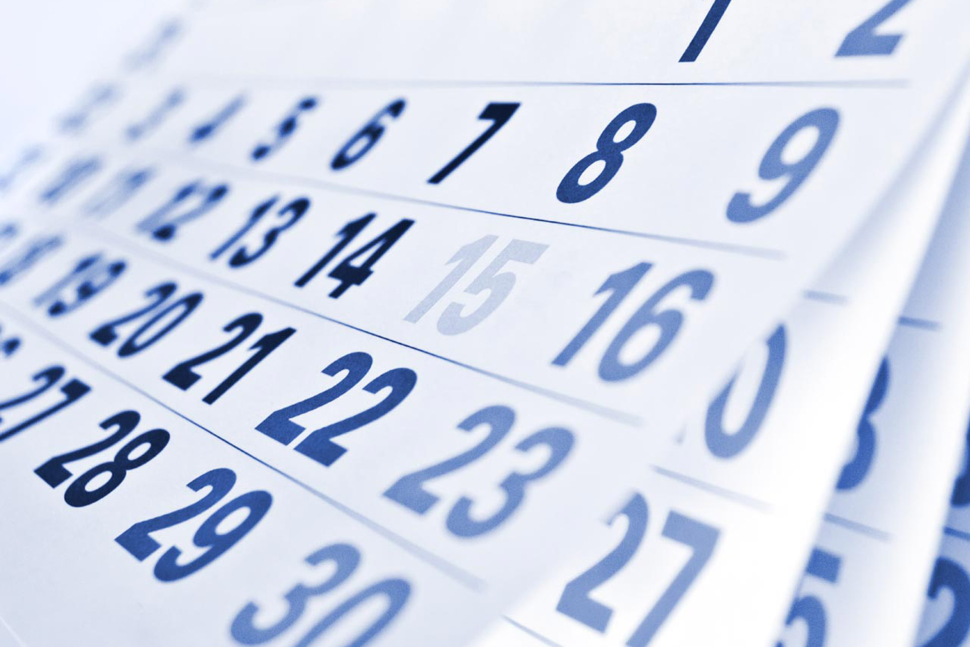 Jadwal Pameran di tahun 2020